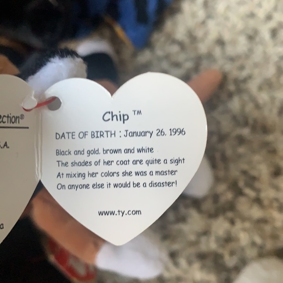 22 TY Beanie Babies Stuffed Animals/ Toys - Picture 9 of 16